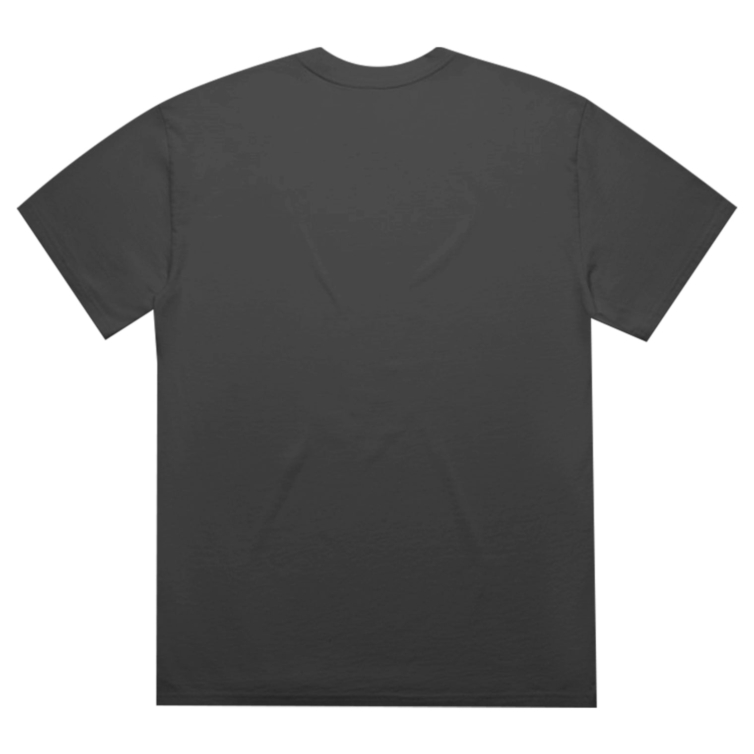 Unisex Heavy Faded Minus Tee in Faded Black, back view